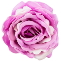 [w04207] Róża główka 9cm różowa cieniowana na biało