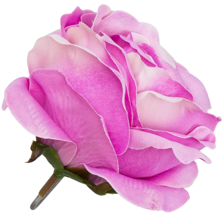 [w04207] Róża główka 9cm różowa cieniowana na biało