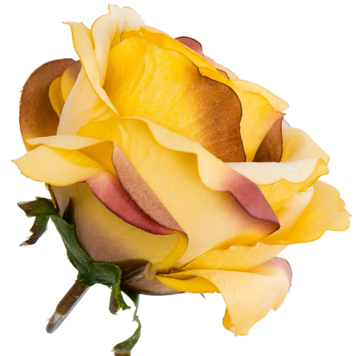 [w04206] Róża główka 9cm miodowa cieniowana