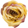 [w04206] Róża główka 9cm miodowa cieniowana