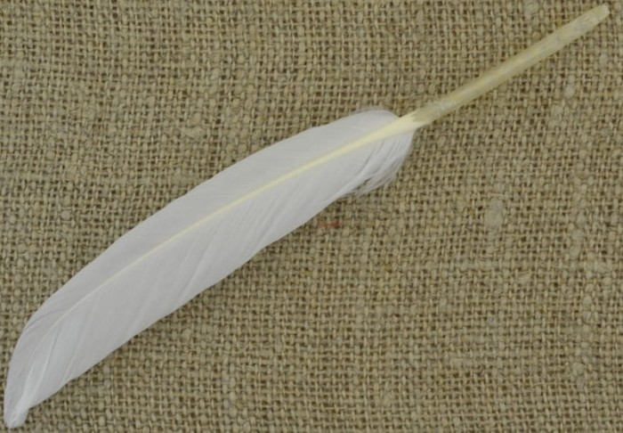 [050163] Pióra farbowane białe 100-150mm