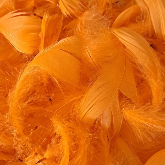[55204] Piórka dekoracyjne pomarańczowe 190 sztuk