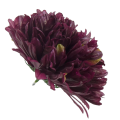 [680854] Główka kwiatowa chryzantema 12 płatków 18cm ciemno-purpurowa