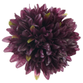 [680854] Główka kwiatowa chryzantema 12 płatków 18cm ciemno-purpurowa