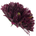 [680883] Główka kwiatowa chryzantema 10 płatków 16cm ciemno-purpurowa