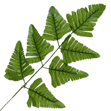 [680886] Gałązka liście paproci zielone 48cm