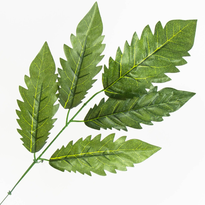 [680887] Gałązka liście dekoracyjne nr 25 zielone