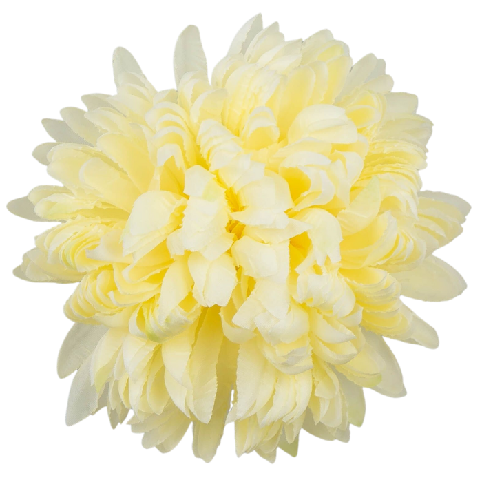 [680897] Główka chryzantema 16 płatków 14cm ciemnokremowa  (D83-05)