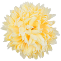 [68d8317] Główka chryzantema 16 płatków 14cm brzoskwiniowa jasna