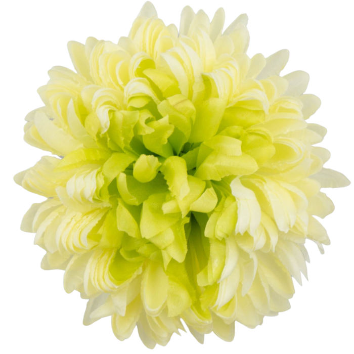 [680899] Główka chryzantema 16 płatków 14cm seledynowo-kremowa