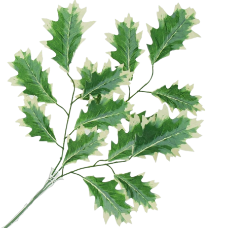[680891] Duża gałązka liście ozdobne zielono-kremowe 72cm
