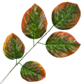 [680890] Gałązka liście dekoracyjne nr 26 zielono-brązowe