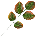 [680890] Gałązka liście dekoracyjne nr 26 zielono-brązowe