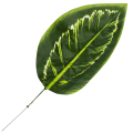 [680894] Liść dekoracyjny nr 29 ciemnozielony 48cm
