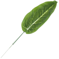 [680892] Liść dekoracyjny nr 27 zielony 49cm