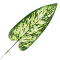 [680893] Liść dekoracyjny nr 28 zielony z jaśniejszym środkiem 51cm