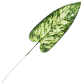 [680893] Liść dekoracyjny nr 28 zielony z jaśniejszym środkiem 51cm