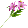 [w0567] Gałązka kwiatowa lilia satynowa 50cm lawendowa