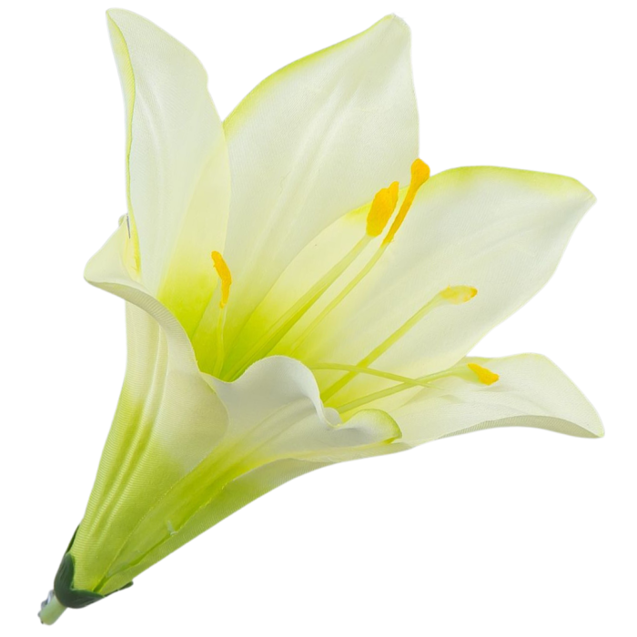 [w04241] Główka kwiatowa lilia 16cm kremowo-seledynowa
