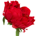 [w03025] Główka kwiatowa peonia duża 12cm czerwona