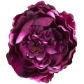 [w03027] Główka kwiatowa peonia duża 12cm biskupia