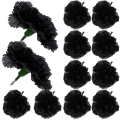 [w040100] Goździk główka 9cm czarny 12szt