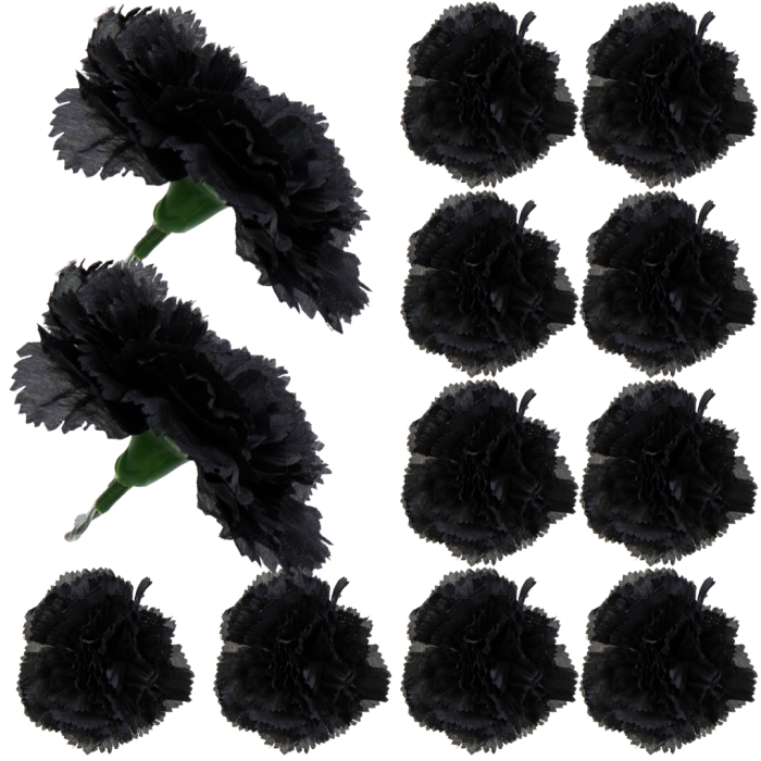 [w040100] Goździk główka 9cm czarny 12szt