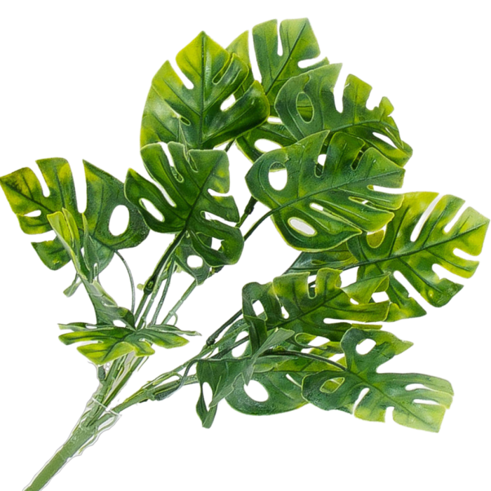 [680493] Bukiet filodendrona pudrowy zielony 40cm