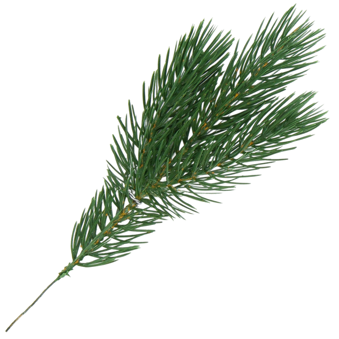 [680999] Gałązka ozdobna świerk zielona 25cm