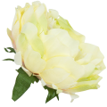 [w03028] Główka kwiatowa peonia duża 12cm kremowa cieniowana na zielono