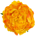 [w03029] Główka kwiatowa peonia duża 12cm żółta cieniowana