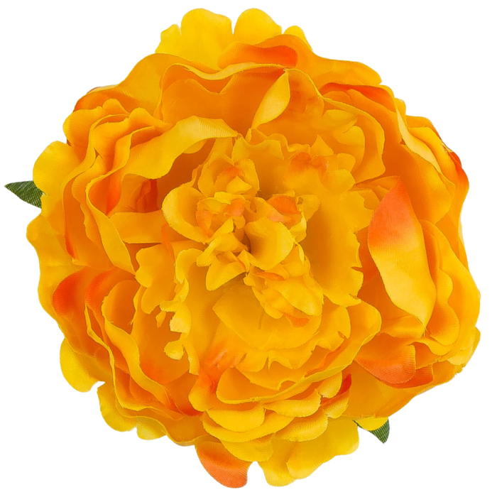 [w03029] Główka kwiatowa peonia duża 12cm żółta cieniowana