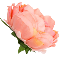[w03030] Główka kwiatowa peonia duża 12cm łososiowo-różowa
