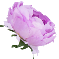 [w03031] Główka kwiatowa peonia duża 12cm lawendowa
