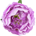 [w03031] Główka kwiatowa peonia duża 12cm lawendowa