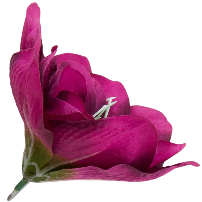 [w04260] Główka kwiatowa clivia 15-16cm fioletowo-różowa