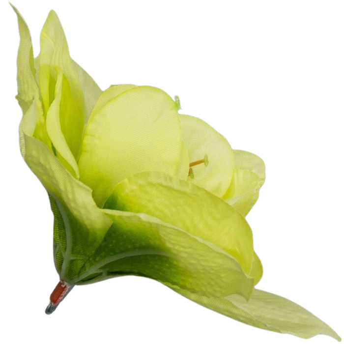 [w04262] Główka kwiatowa clivia 15-16cm seledynowa