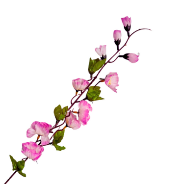 PRODUKTY PASSIONROOM (41).png