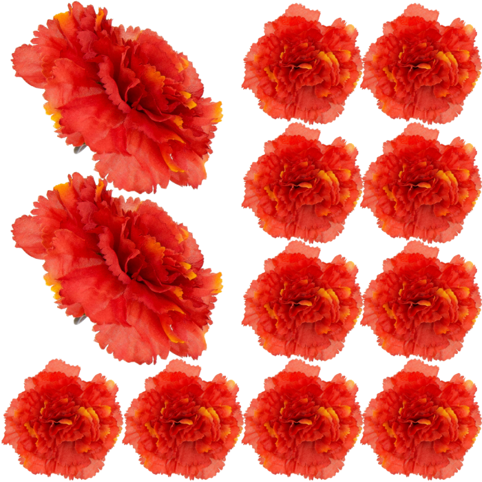 [w04273] Goździk główka 9cm ceglasta 12szt