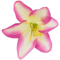 [w04285] Główka kwiatowa lilia 11cm kremowa cieniowana na różowo