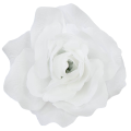 [w04291] Róża główka 12cm biała