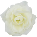 [w04292] Róża główka 12cm kremowa