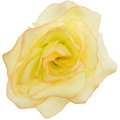 [w04294] Róża główka 12cm żółta cieniowana
