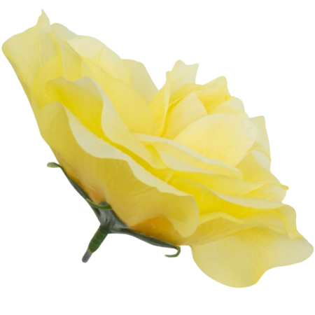 [w04293] Róża główka 12cm żółta