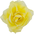 [w04293] Róża główka 12cm żółta
