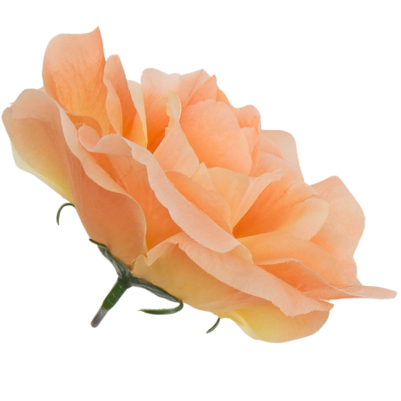 [w04296] Róża główka 12cm łososiowa