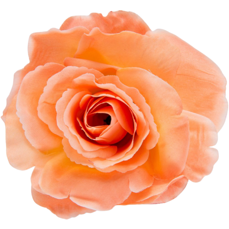 [w04309] Róża główka 13cm koralowo-łososiowa