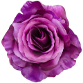 [w04312] Róża główka 13cm biskupia