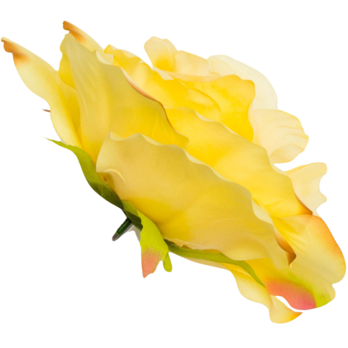 [w0572] Główka kwiatowa róża duża 20cm pastelowo-żółta cieniowana