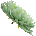 [w04317] Główka kwiatowa dalia pistacjowa 17cm